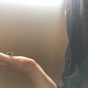 Meet your Posher, Ashley